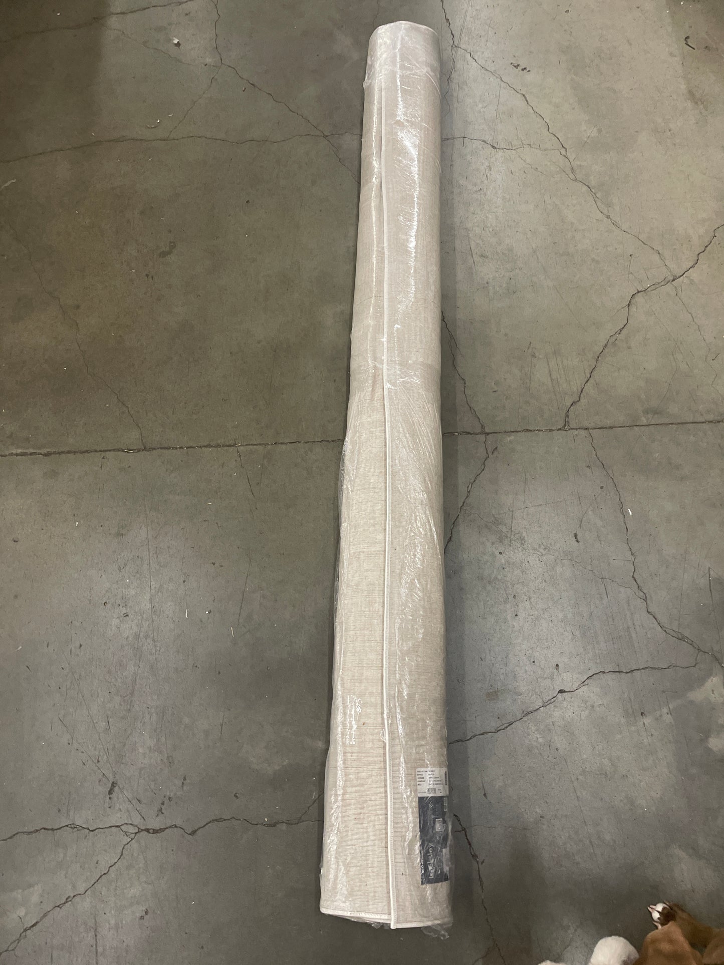 Gertmenian Locksley Area Rug Collection, Onida, Rug Size: 7 ft. 10 in. x 10 ft