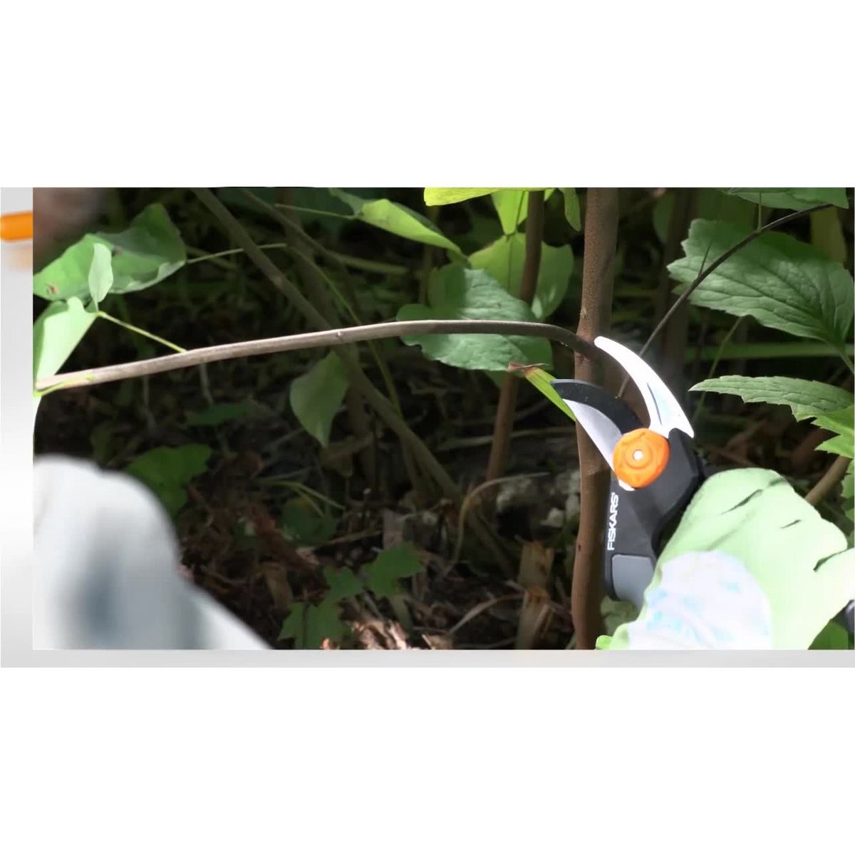 Fiskars 3pc Tree & Shrub Care Set: Rust-Resistant Steel, Lifetime Limited Warranty
