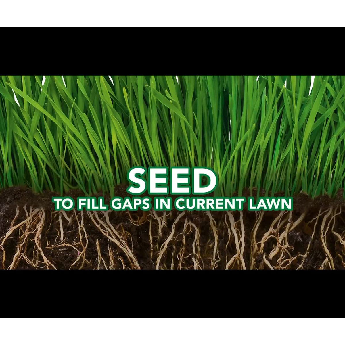Scotts 3-in-1 Thick'R Lawn Sun & Shade Soil: Soil Improver, Seed, Fertilizer, 50% Thicker Lawn
