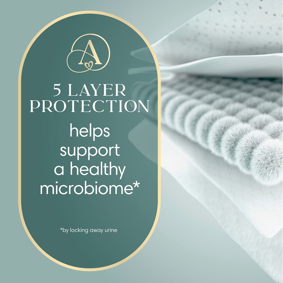 Amore by Pampers eComm Pack Disposable Diapers - Size 3 - 168ct