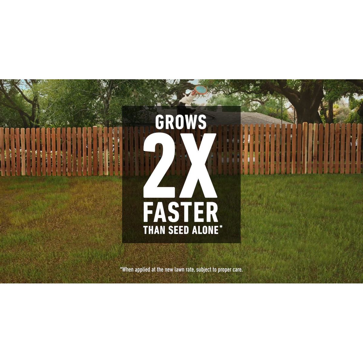 Scotts Turf Builder Rapid Grass Seed Sun & Shade Mix - 5.6lb: Quick Germination, Lawn Fertilizer, Covers 2800 sq ft