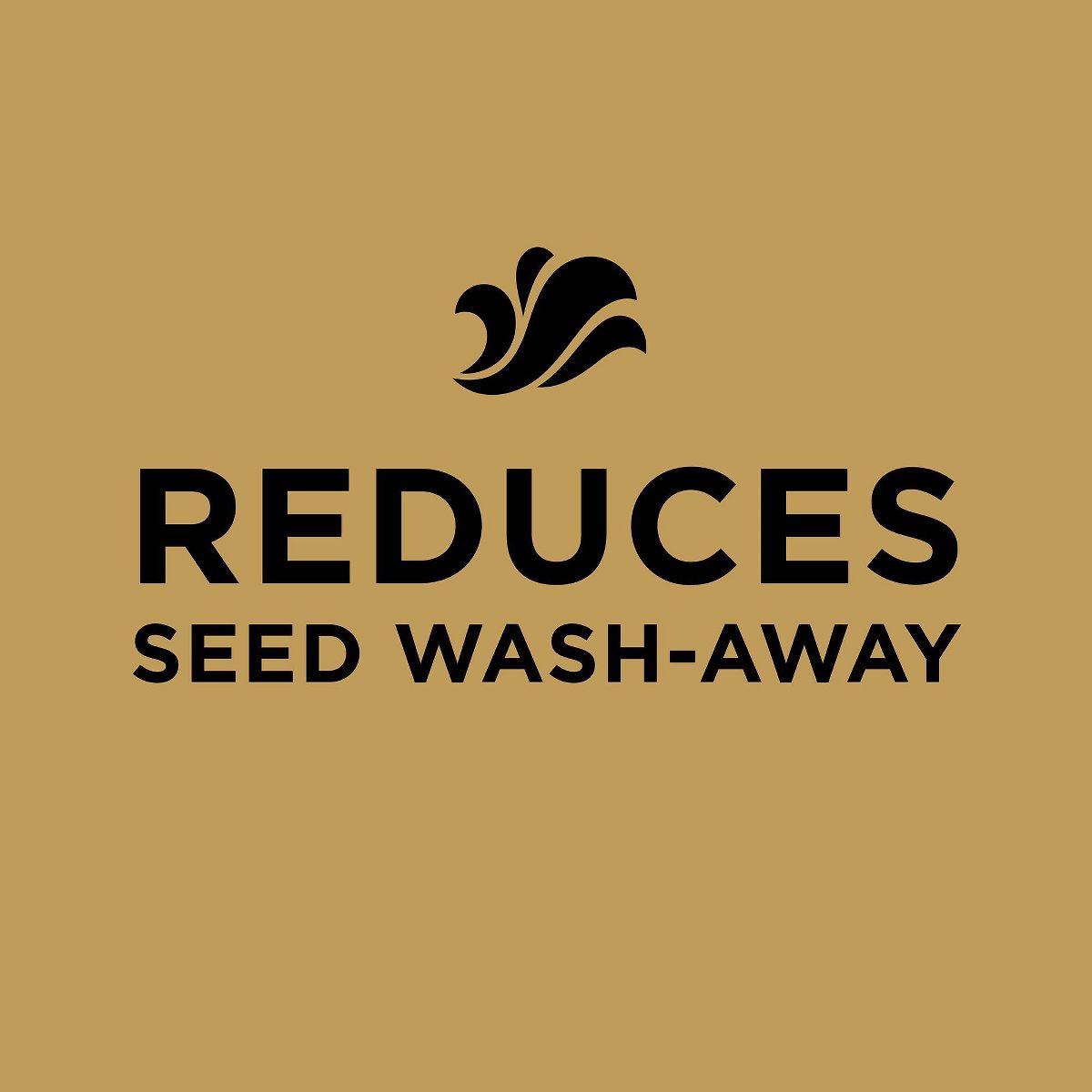 Scotts EZ Seed Tall Fescue 10lb