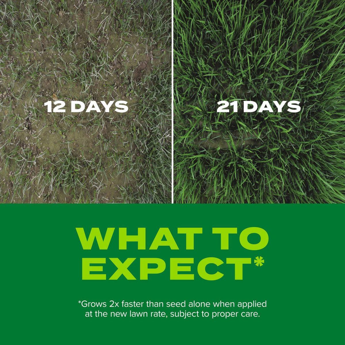 Scotts Turf Builder Rapid Grass Seed Sun & Shade Mix - 5.6lb: Quick Germination, Lawn Fertilizer, Covers 2800 sq ft