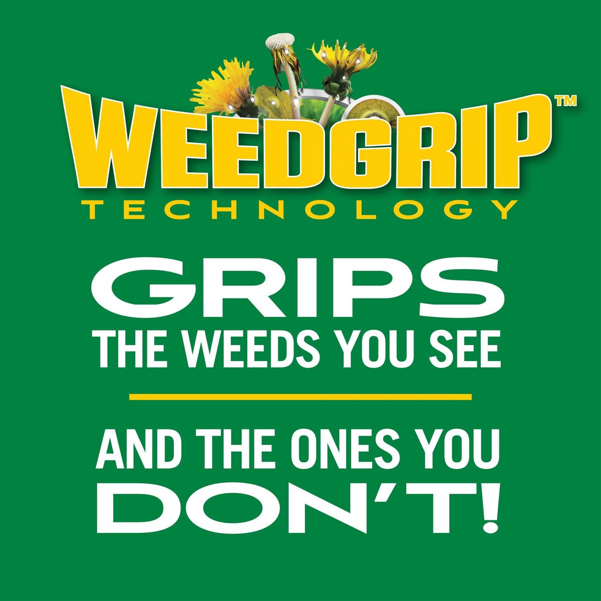 Scotts Turf Builder Weed and Feed Fertilizer 11.32lbs