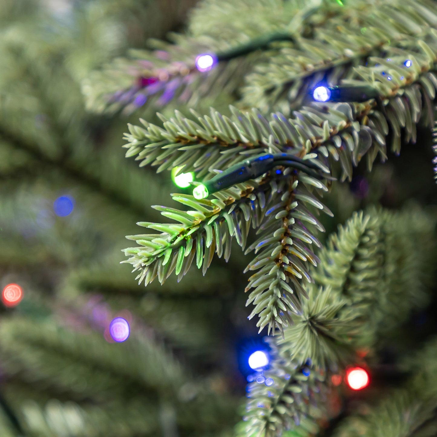 12 ft. Pre-Lit Radiant Micro LED with Twinkle Christmas Tree