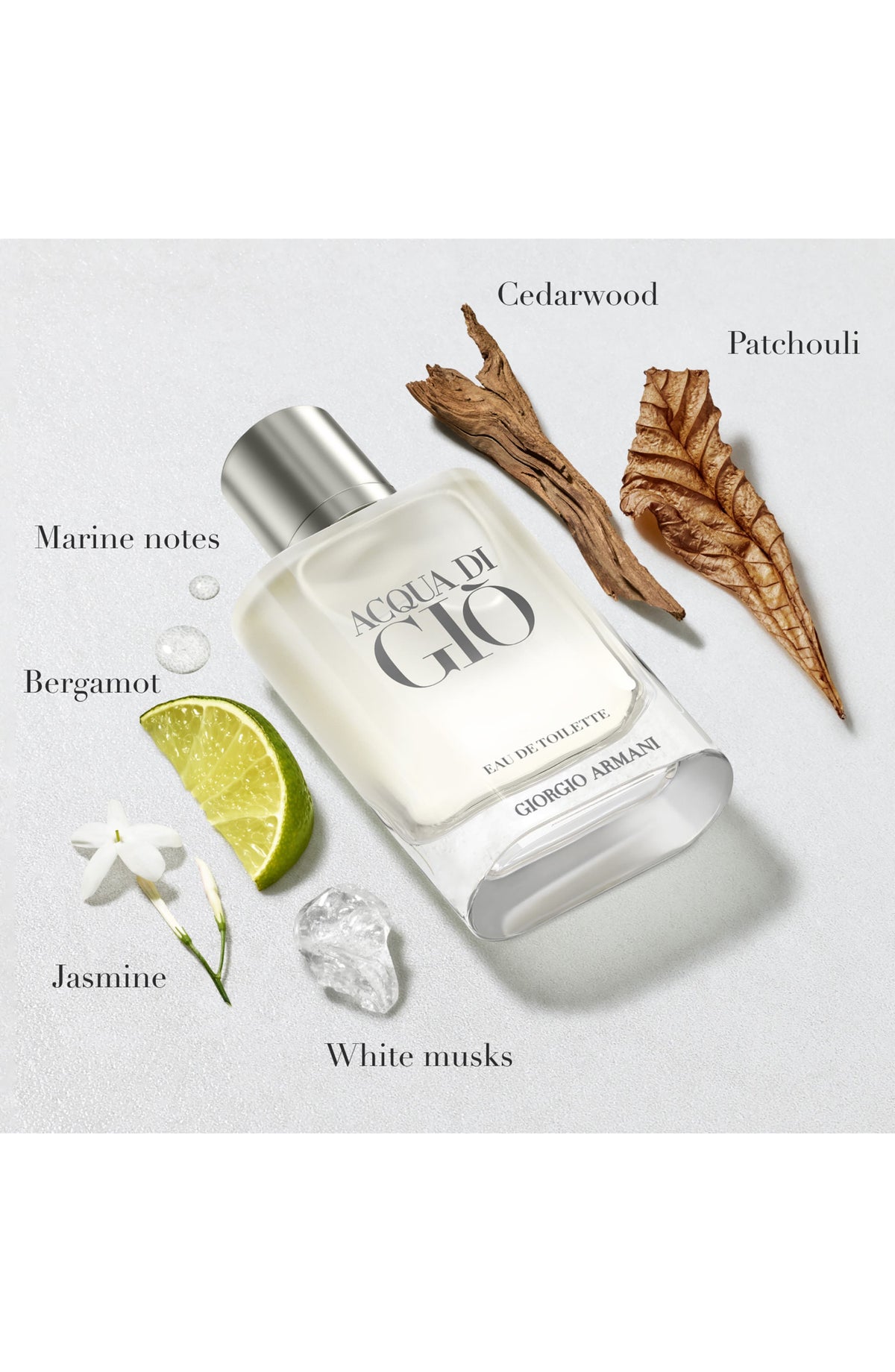 ARMANI Acqua di Gió Eau de Toilette