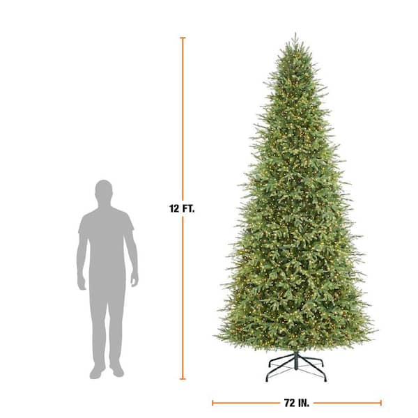 Home Decorators Collection 12 ft. Grand Duchess Twinkling Balsam Fir LED Pre-Lit Artificial Christmas Tree T37
