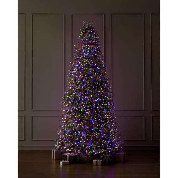 Home Decorators Collection 12 ft. Grand Duchess Twinkling Balsam Fir LED Pre-Lit Artificial Christmas Tree T37
