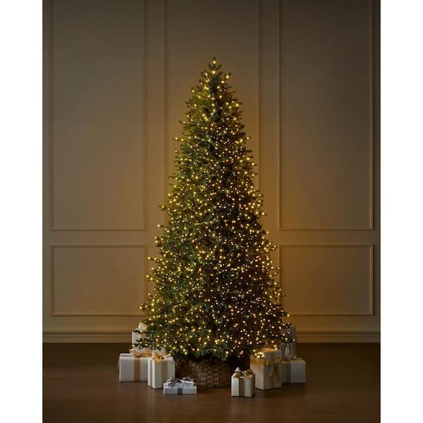 Home Decorators Collection 9 ft. Elegant Twinkling Grand Fir LED Pre-Lit Artificial Christmas Tree with Timer T33