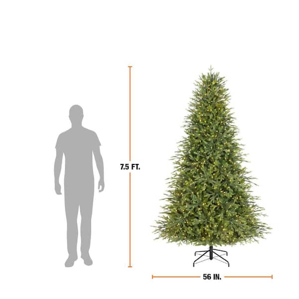 7.5 ft. Breckenridge Twinkling Adaptive Lighting Downswept Fraser Fir LED Pre-Lit Christmas Tree T29