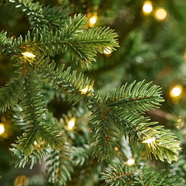 Home Decorators Collection 12 ft. Elegant Twinkling Grand Fir LED Pre-Lit Artificial Christmas Tree with Timer