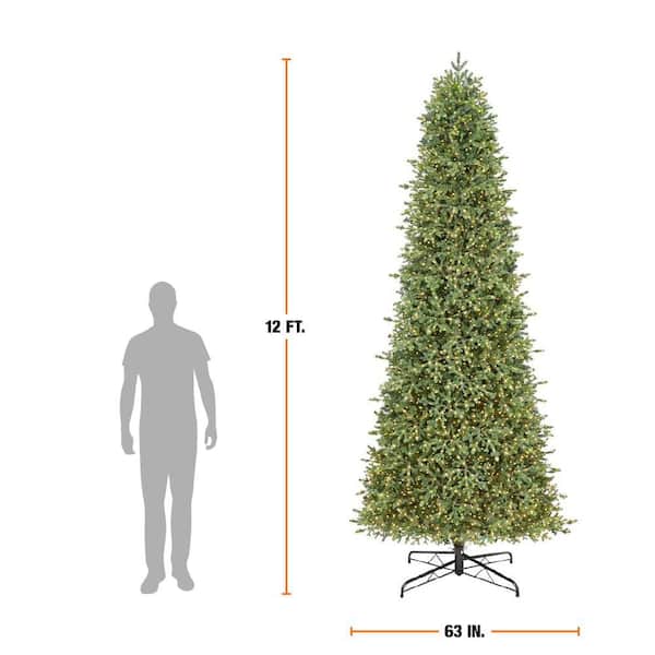 Home Decorators Collection 12 ft. Elegant Twinkling Grand Fir LED Pre-Lit Artificial Christmas Tree with Timer