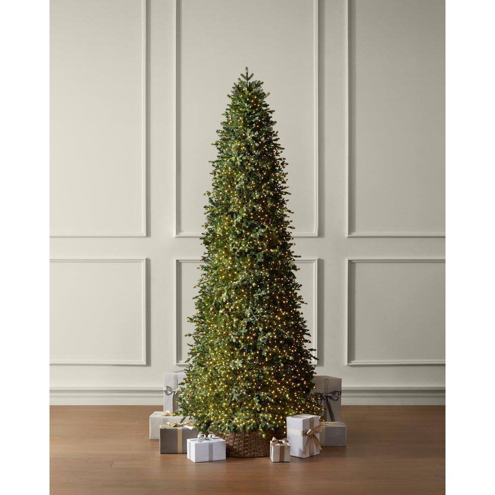 Home Decorators Collection 12 ft. Elegant Twinkling Grand Fir LED Pre-Lit Artificial Christmas Tree with Timer