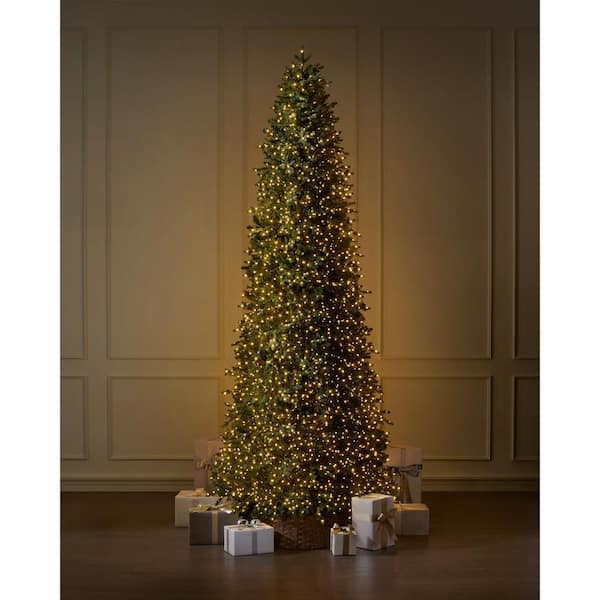 Home Decorators Collection 12 ft. Elegant Twinkling Grand Fir LED Pre-Lit Artificial Christmas Tree with Timer
