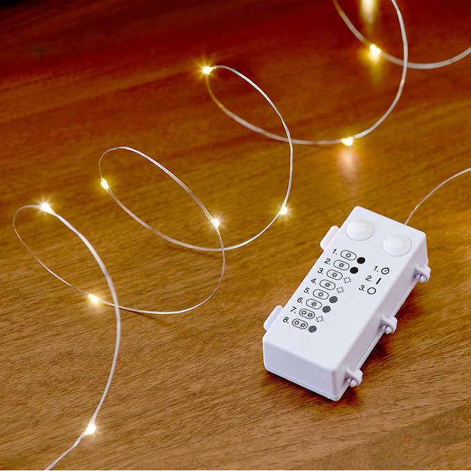 Costco - Philips Dual Color LED Micro Lights, 8-pack - Retail $19