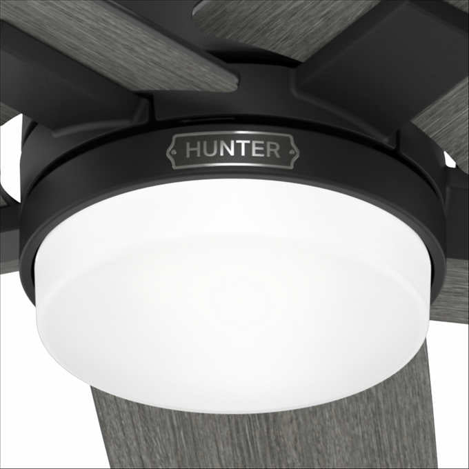 Hunter Rapidan LED 52" Ceiling Fan - Retail $149