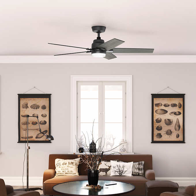 Hunter Rapidan LED 52" Ceiling Fan - Retail $149