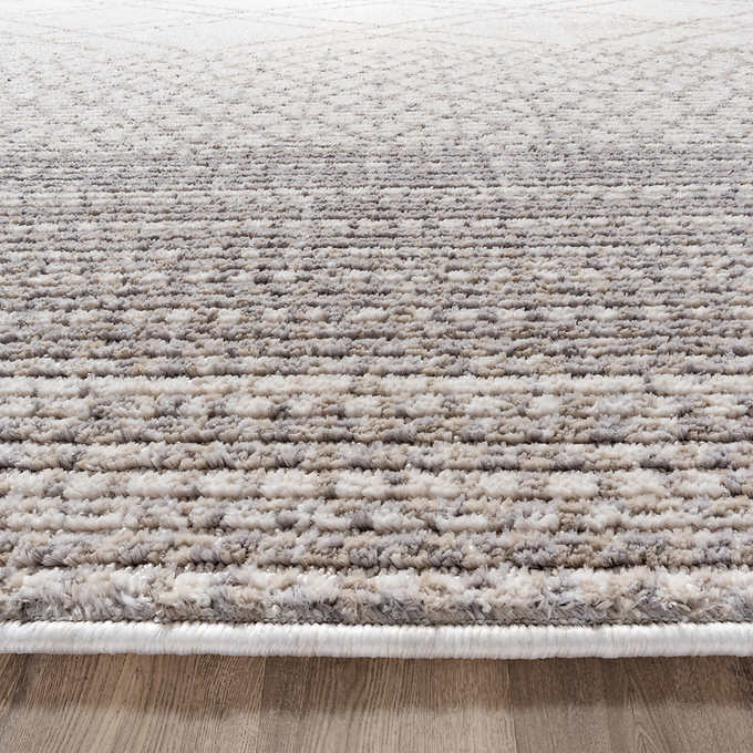 NEW - Costco - Oraya Area Rug, Ajene, 5' 3" x 7' - Retail $129