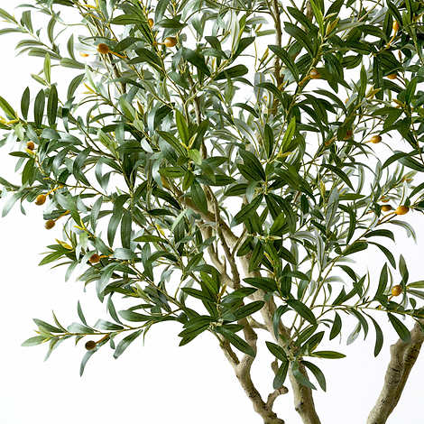 Costco - Faux 8’ Olive Tree - Retail $499
