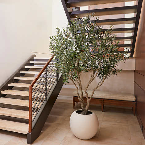 Costco - Faux 8’ Olive Tree - Retail $499