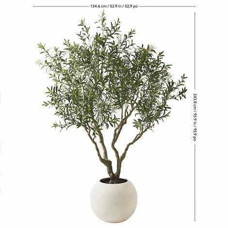 Costco - Faux 8’ Olive Tree - Retail $499