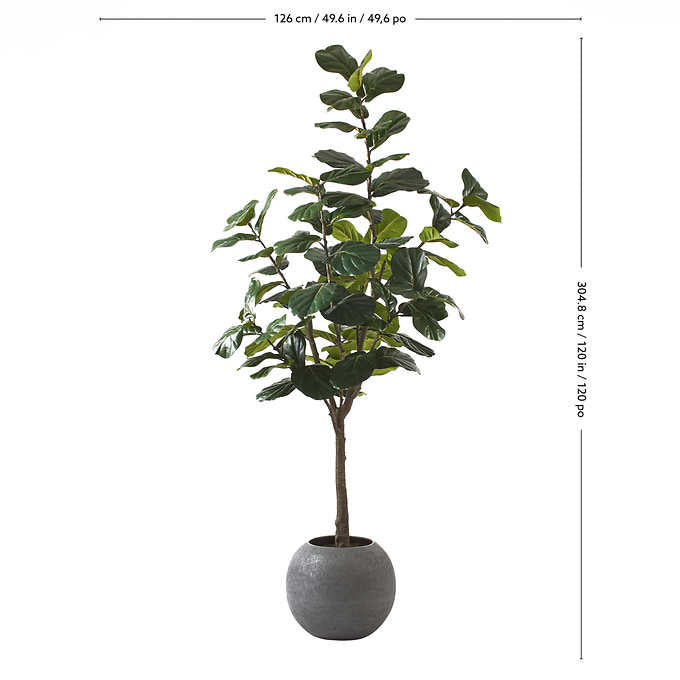 Costco - Artificial 3.05 m (10 ft.) Fiddle Leaf Fig Tree with Planter - Retail $379