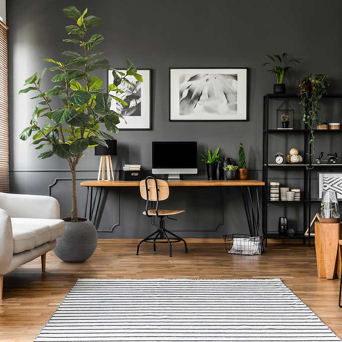 Costco - Artificial 3.05 m (10 ft.) Fiddle Leaf Fig Tree with Planter - Retail $379