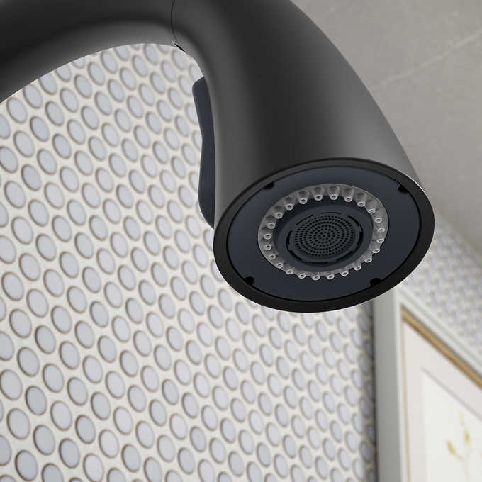 Kohler Lir Pulldown Kitchen Faucet - Retail $209