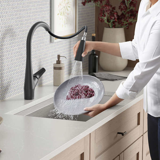 Kohler Lir Pulldown Kitchen Faucet - Retail $209