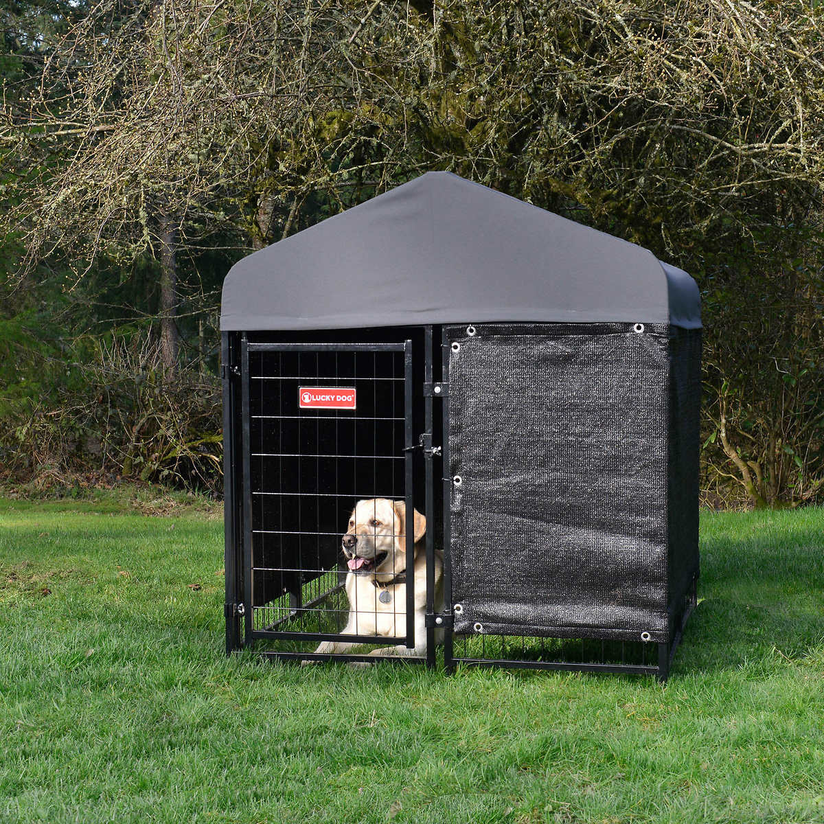 Costco - Lucky Dog STAY Series Studio Jr. Dog Kennel 4'x4' with Privacy Screen - Retail $229