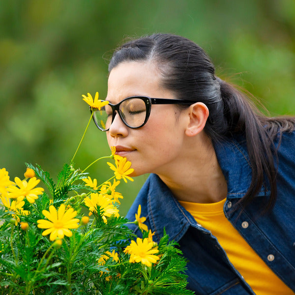 Astepro Full Prescription Strength Azelastine Hcl 205.5 Mcg Antihistamine Nasal Spray