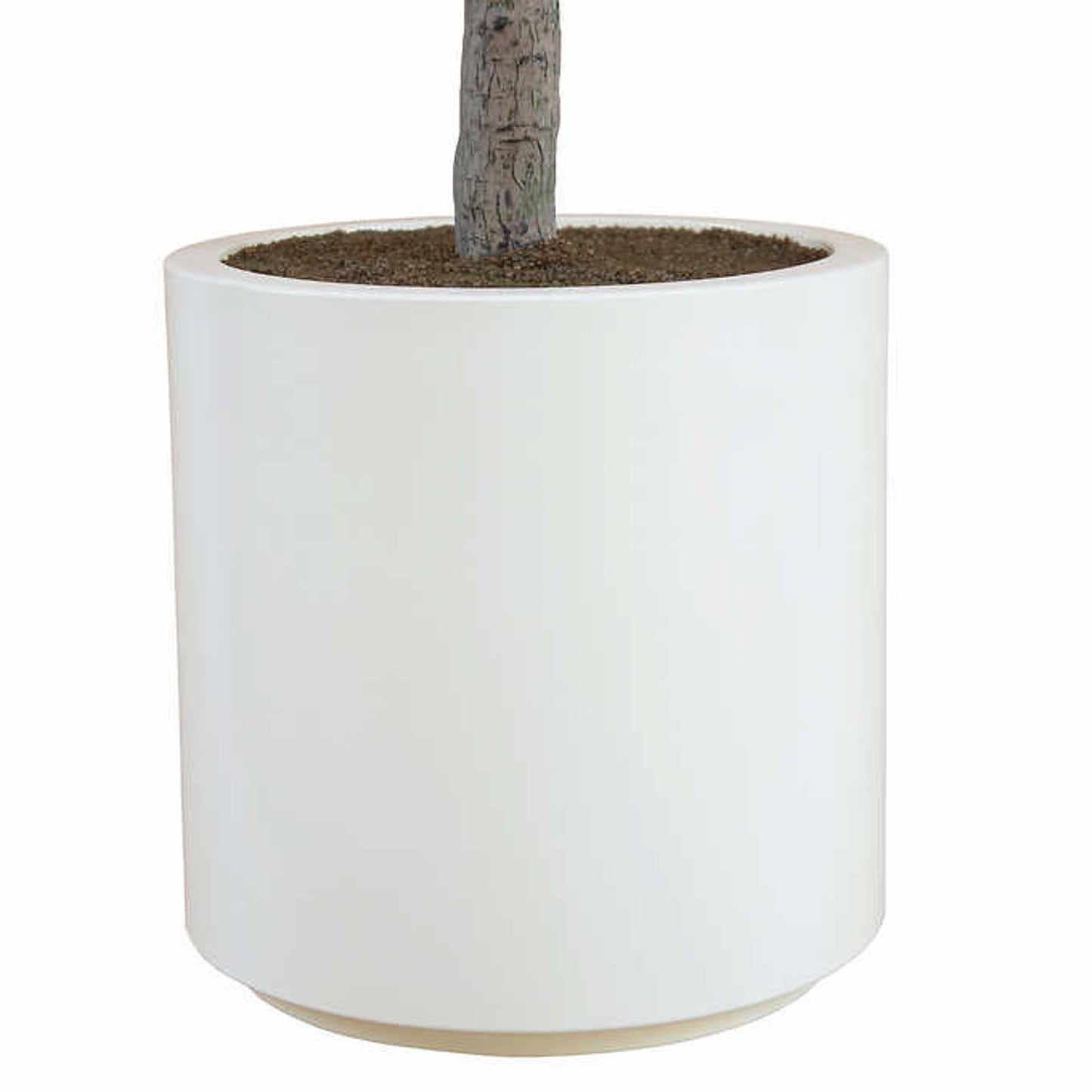 Like NEW - Costco - Faux 6.5' Olive Tree - Retail $179