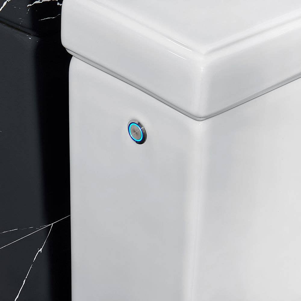 NEW - OVE IRENNE Classic Smart Bidet Toilet - Retail $1049