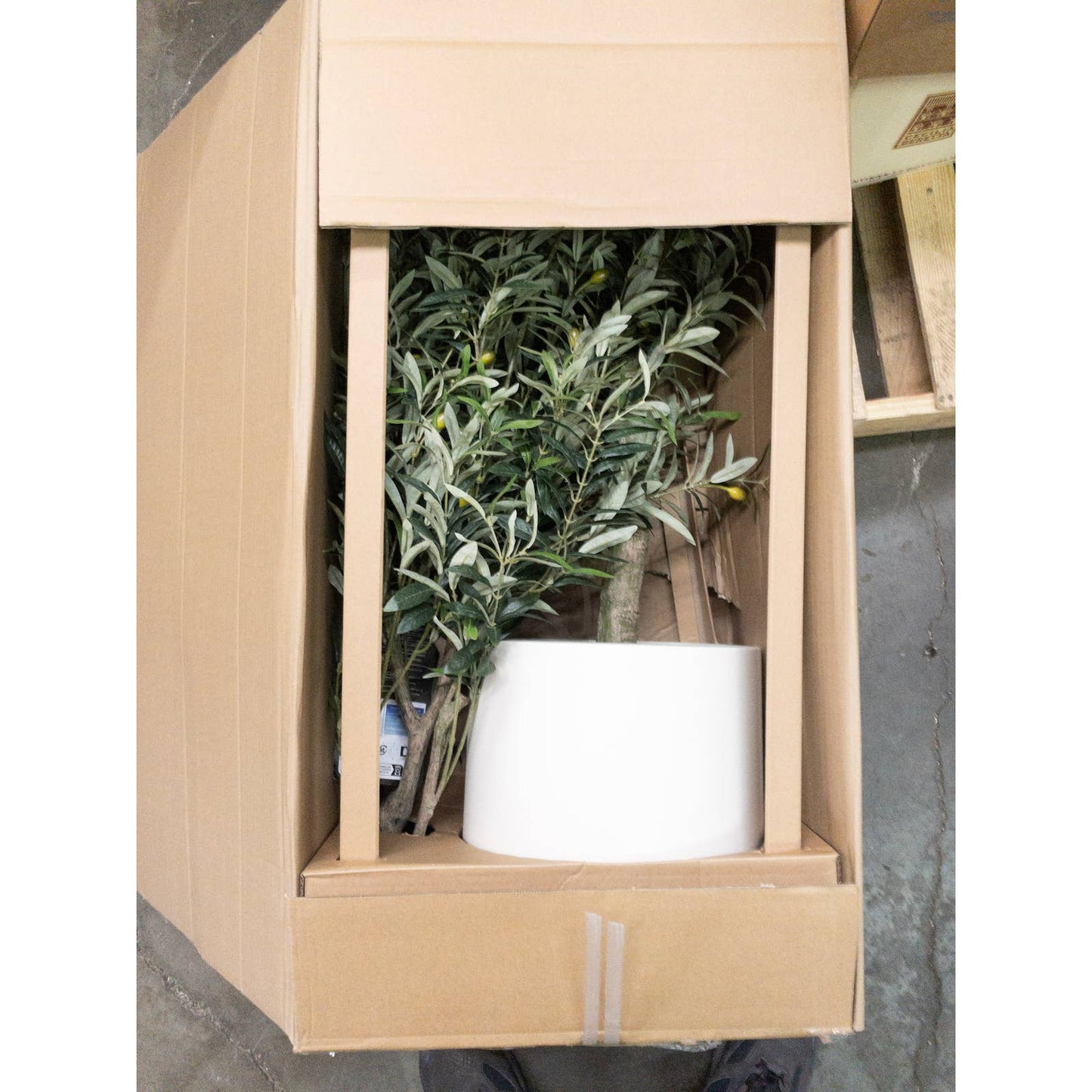 Like NEW - Costco - Faux 6.5' Olive Tree - Retail $179