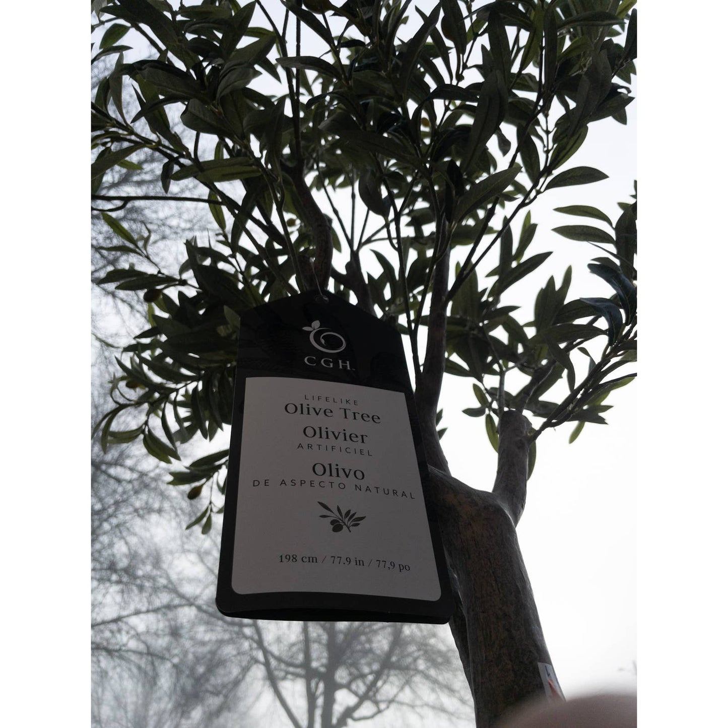 Like NEW - Costco - Faux 6.5' Olive Tree - Retail $179